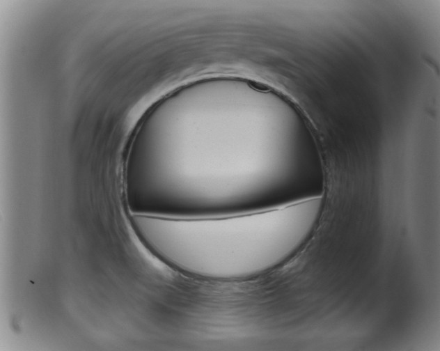 X0000099951519200805230949