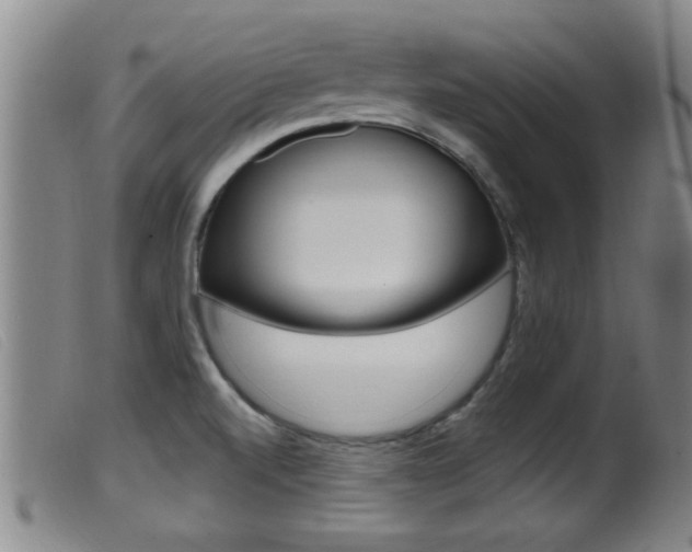 X0000099951520200805230949