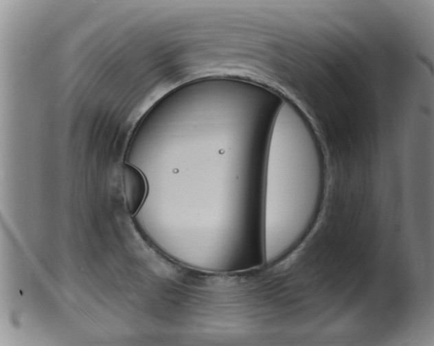 X0000099951521200805230949