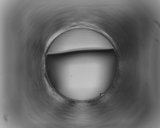 X0000099951522200805230949