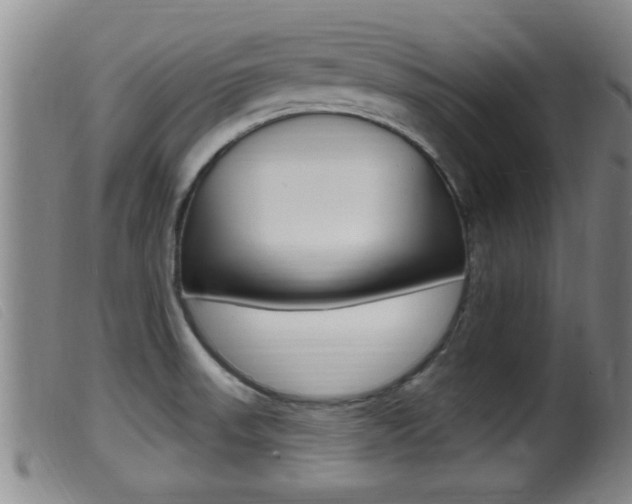 X0000099951523200805230949