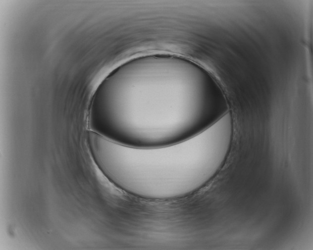 X0000099951524200805230949