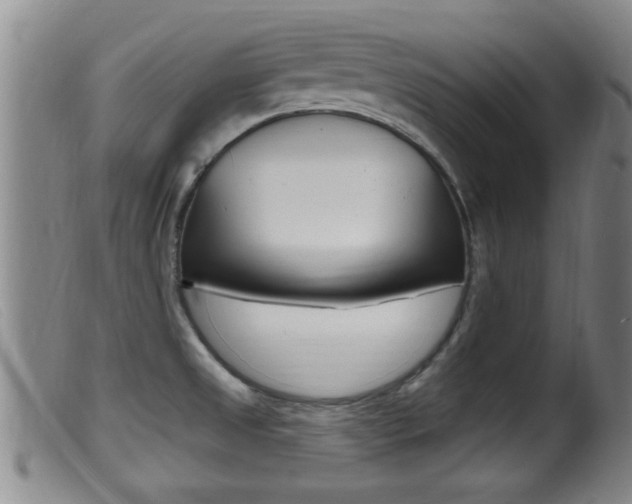 X0000099951525200805230949
