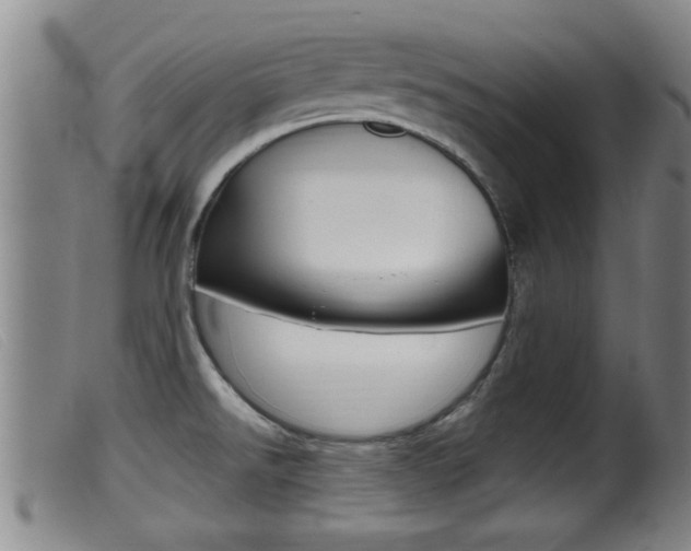 X0000099951526200805230949