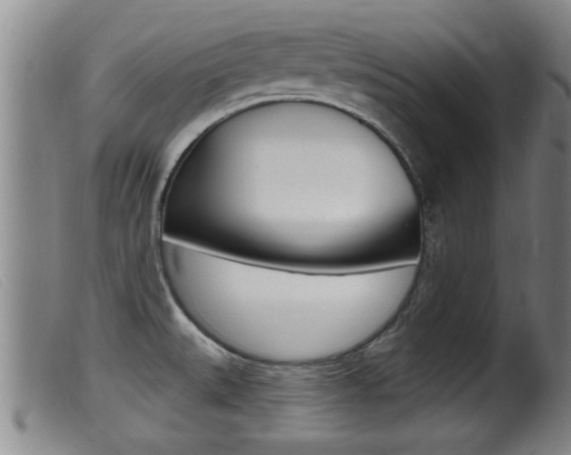 X0000099951527200805230949