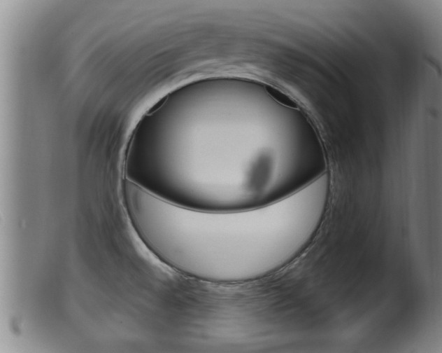 X0000099951528200805230949