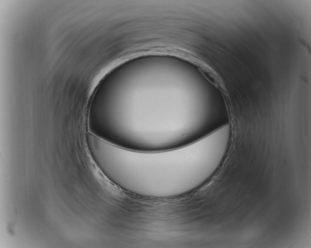 X0000099951530200805230949