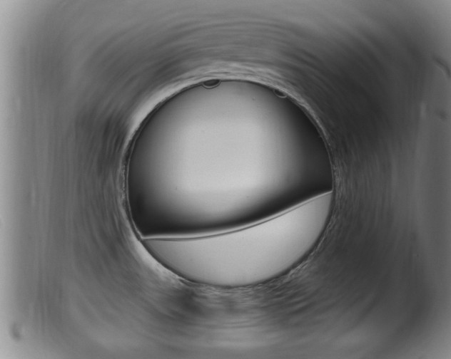 X0000099951531200805230949