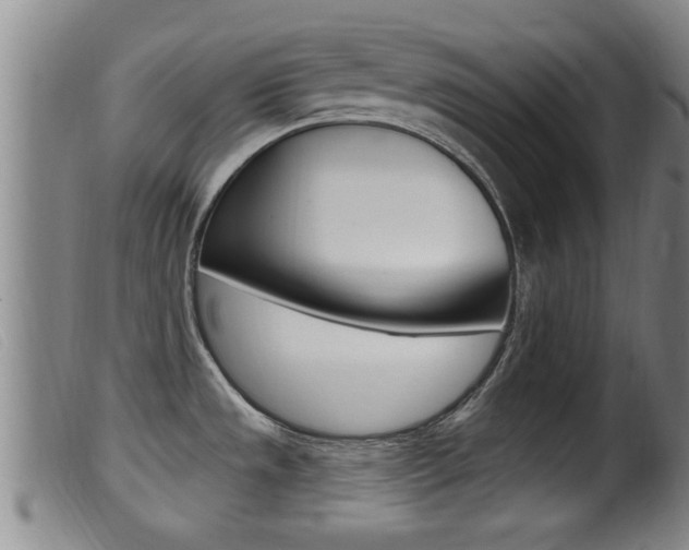 X0000099951533200805230949