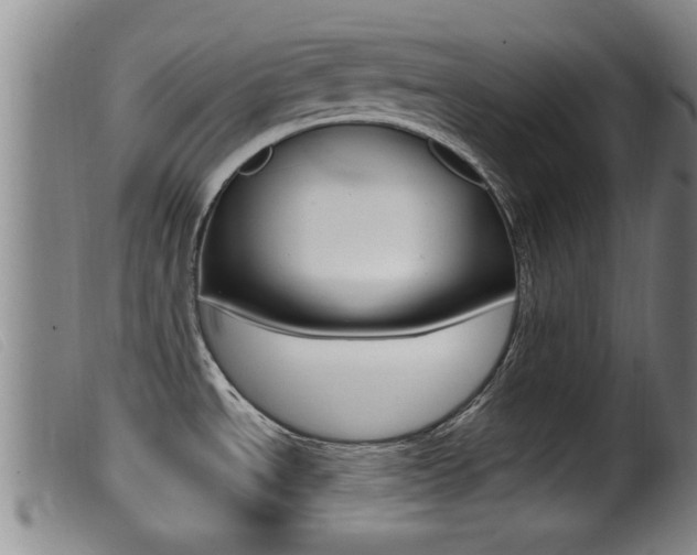X0000099951534200805230949