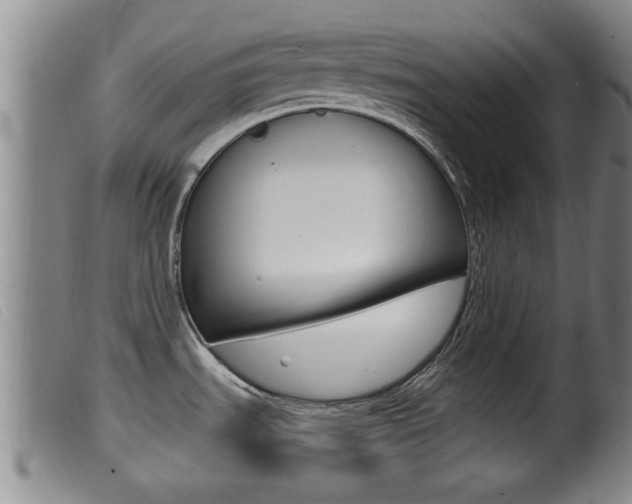 X0000099951535200805230949