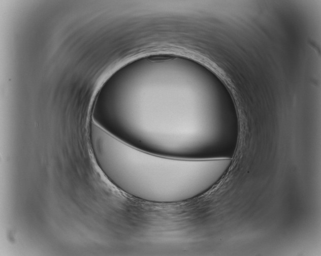 X0000099951536200805230949