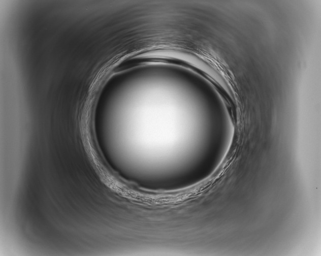 X0000099950001200805231331