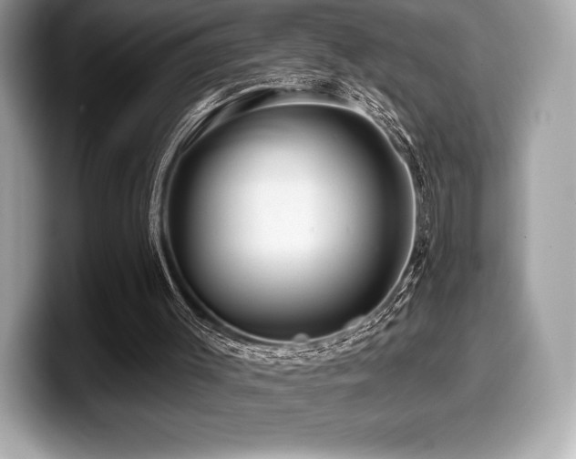 X0000099950003200805231331