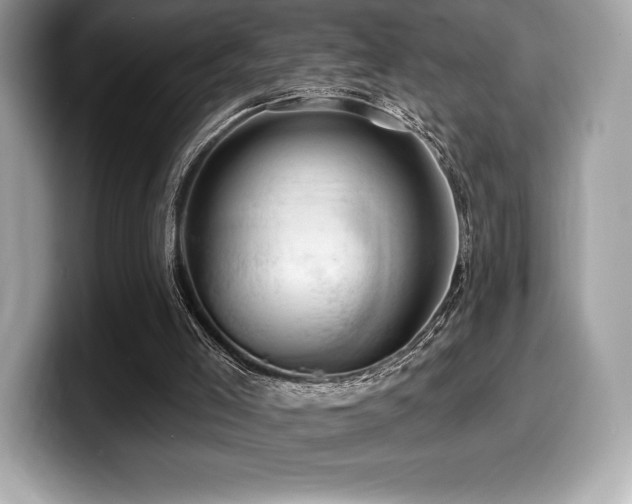 X0000099950005200805231331