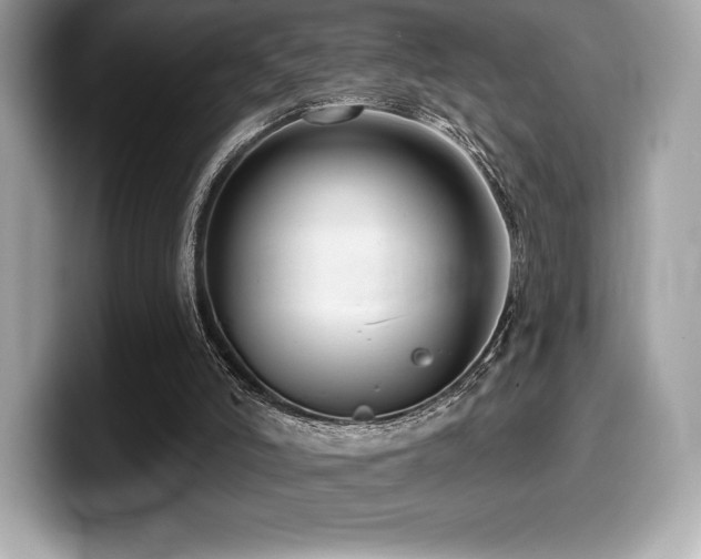 X0000099950006200805231331