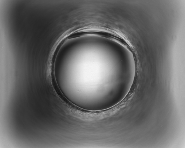 X0000099950007200805231331