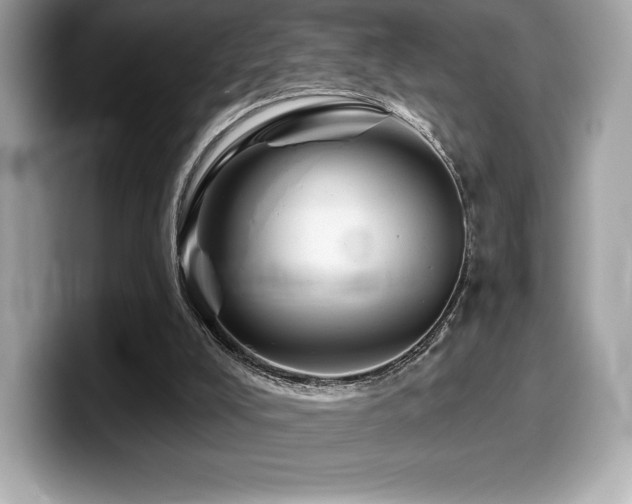 X0000099950008200805231331