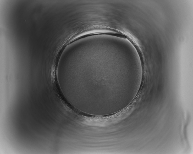 X0000099950009200805231331