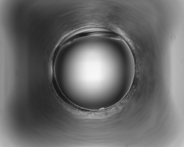 X0000099950011200805231331