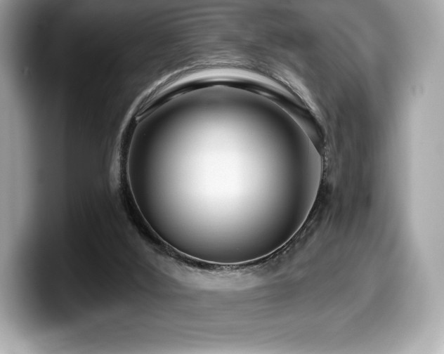 X0000099950012200805231331