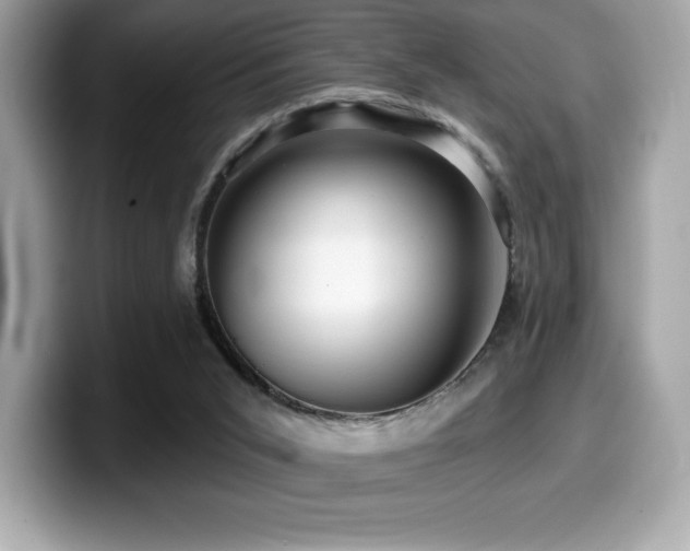 X0000099950015200805231331