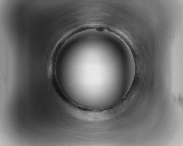 X0000099950016200805231331