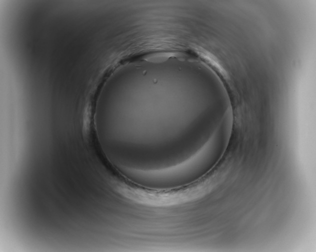 X0000099950018200805231331