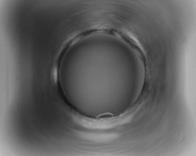 X0000099950019200805231331