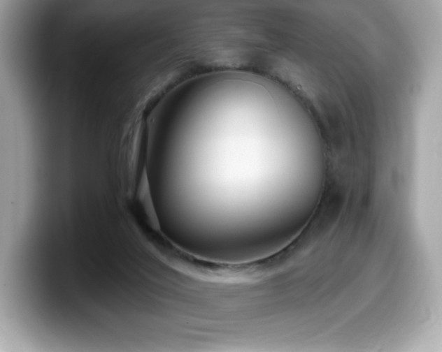 X0000099950020200805231330