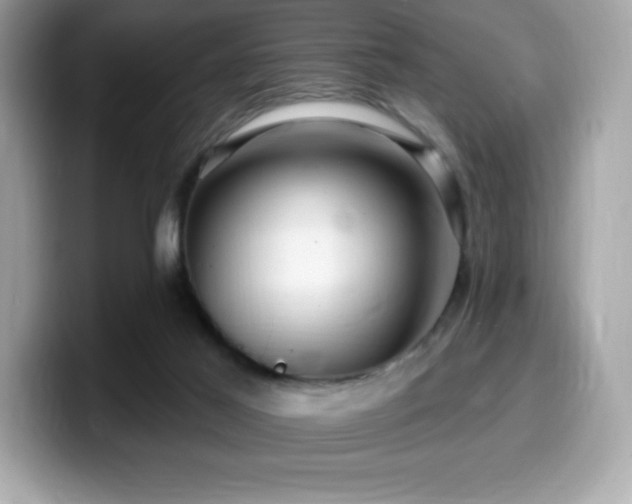X0000099950021200805231330