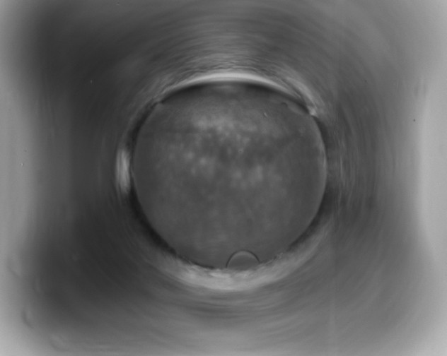 X0000099950022200805231330