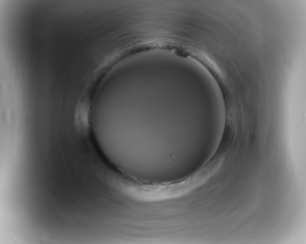 X0000099950023200805231330
