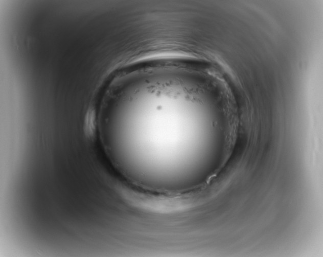 X0000099950024200805231330