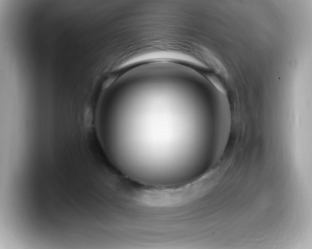 X0000099950025200805231330