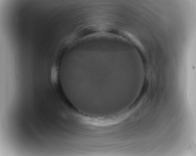 X0000099950026200805231330