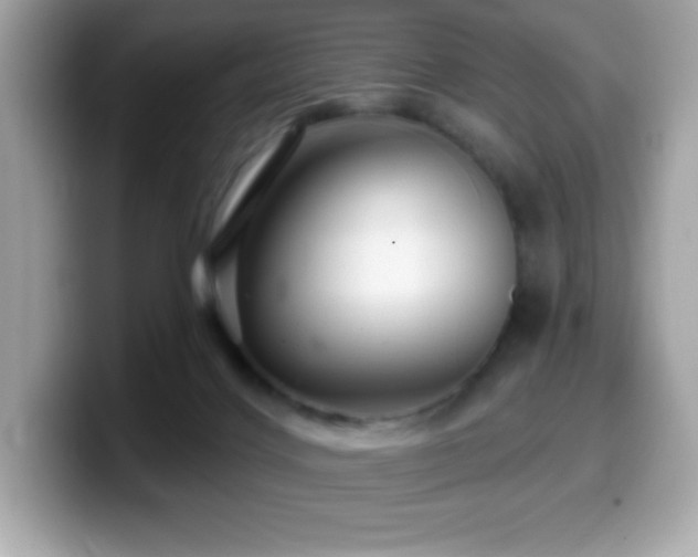 X0000099950028200805231330