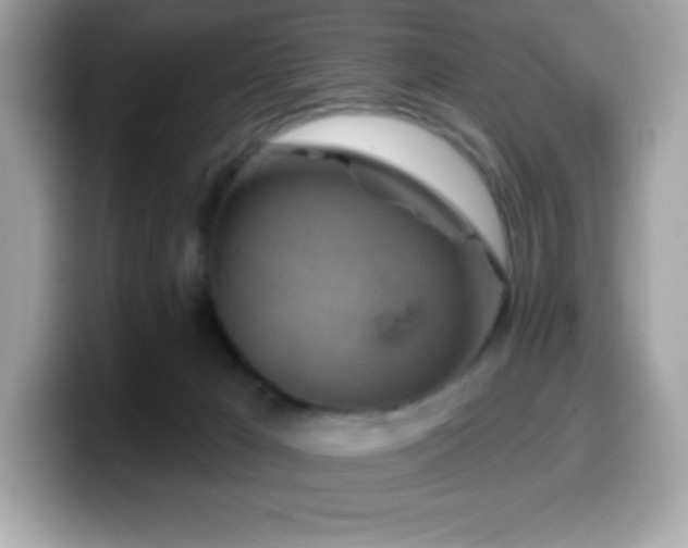 X0000099950029200805231330