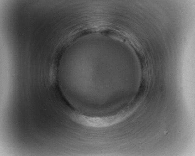 X0000099950030200805231330