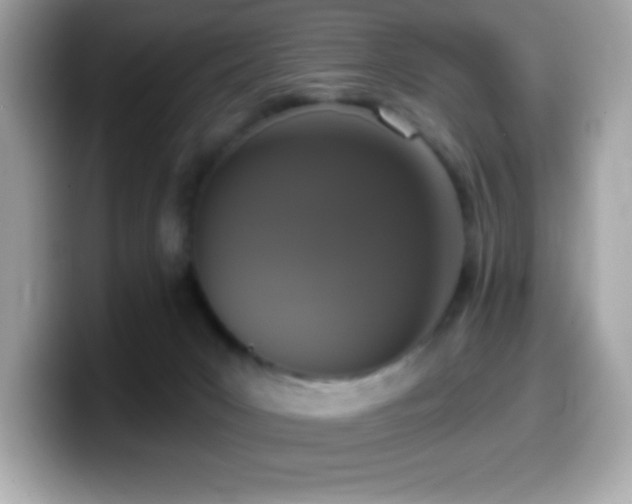 X0000099950031200805231330