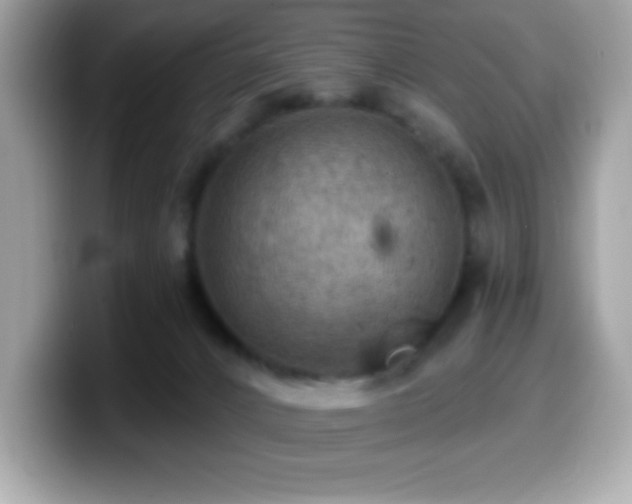 X0000099950032200805231330