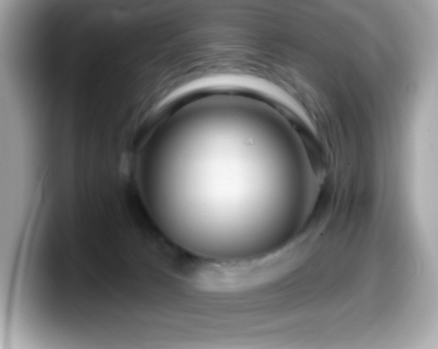 X0000099950033200805231330