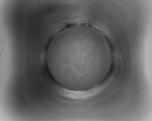 X0000099950034200805231330