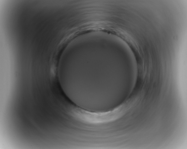 X0000099950035200805231330