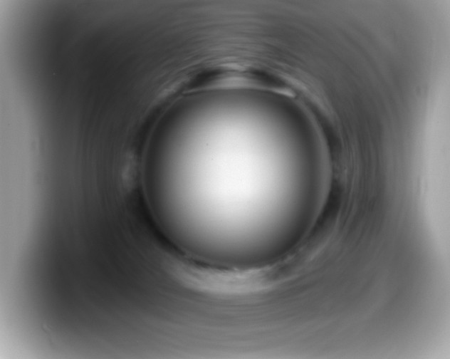 X0000099950036200805231330