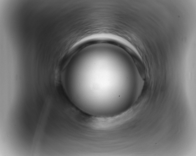 X0000099950037200805231330