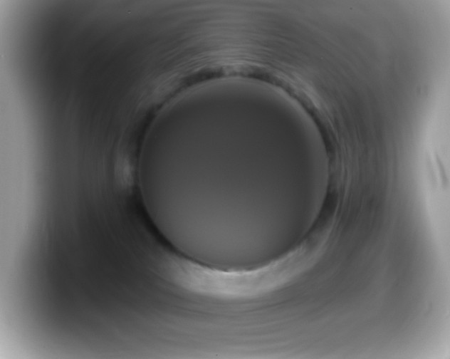 X0000099950039200805231330