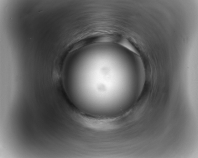 X0000099950040200805231330