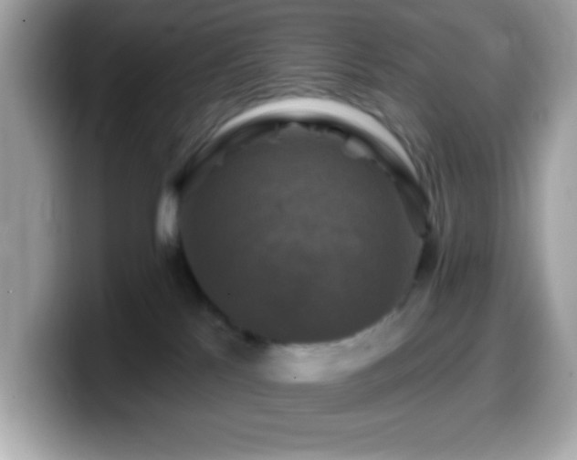X0000099950041200805231330