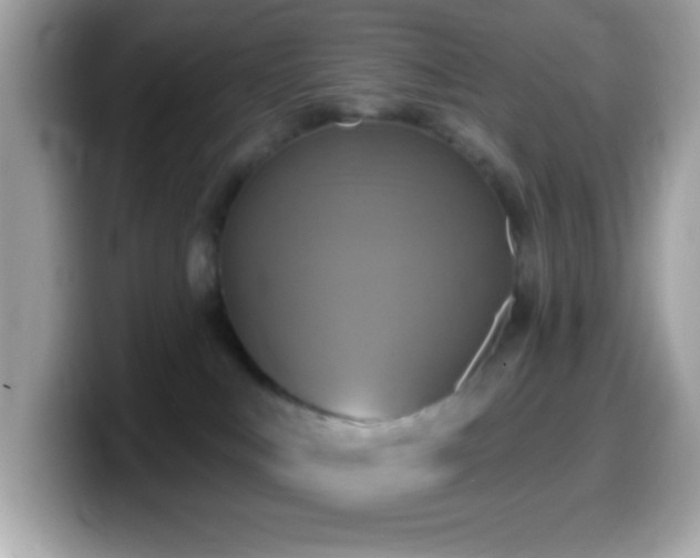 X0000099950043200805231330